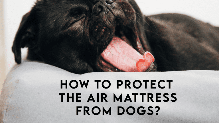 How To Protect The Air Mattress From Dogs?